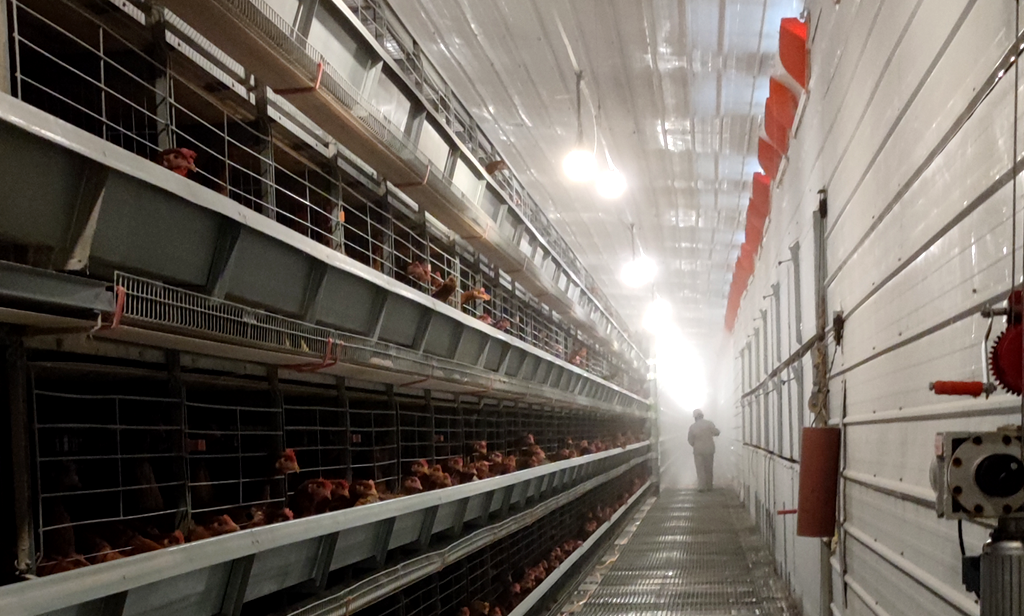 layer house lighting