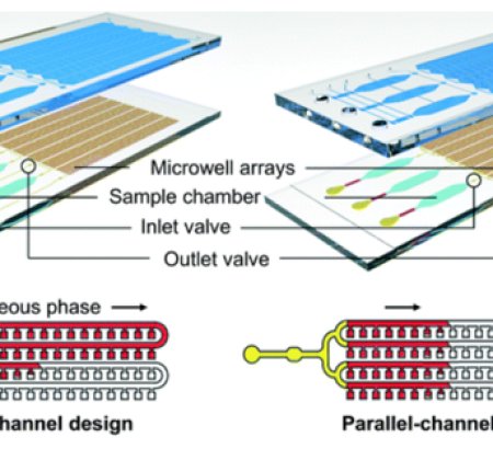 Do you know the chip used for nucleic acid detection？(一)