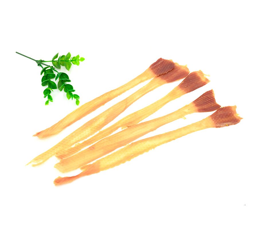 鸭食管（SDP101）