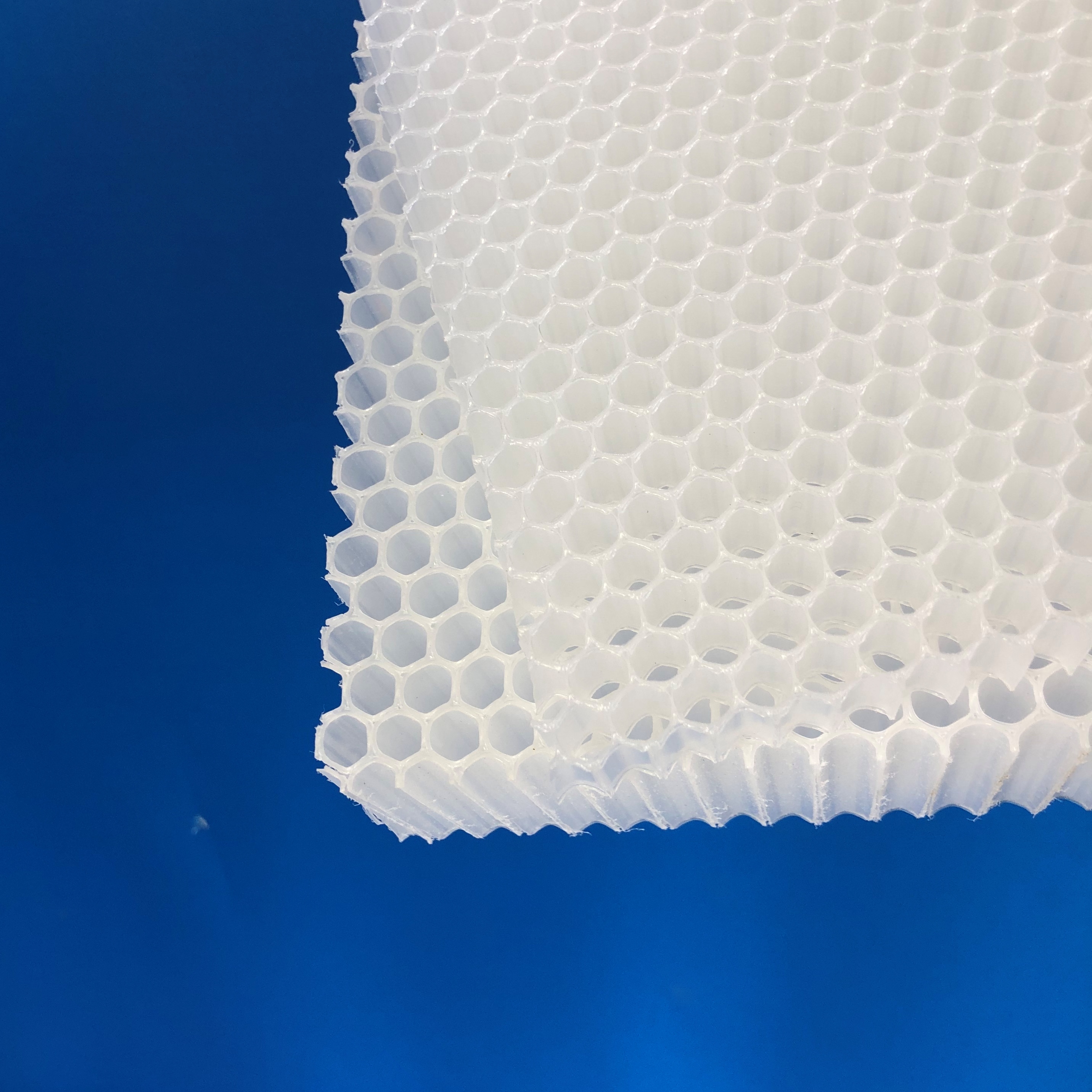 PP Honeycomb Core