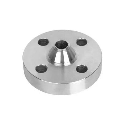 Stainless Steel Weld Neck Flange  | Eathu Flange