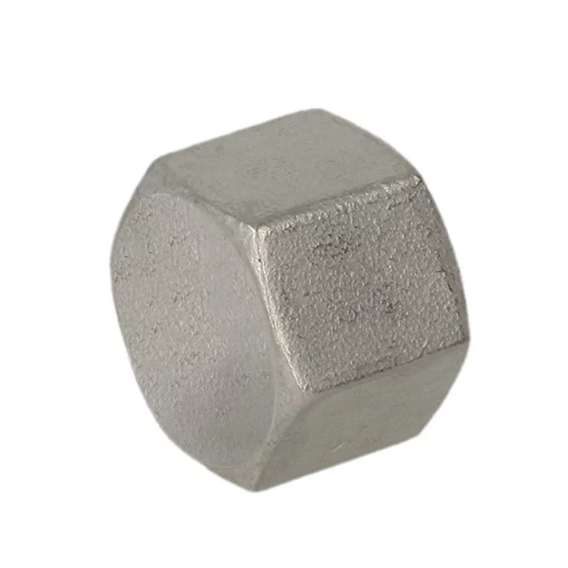 Stainless Steel Thread Hexagon Cap-446