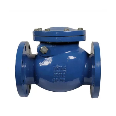 Swing Check Valve