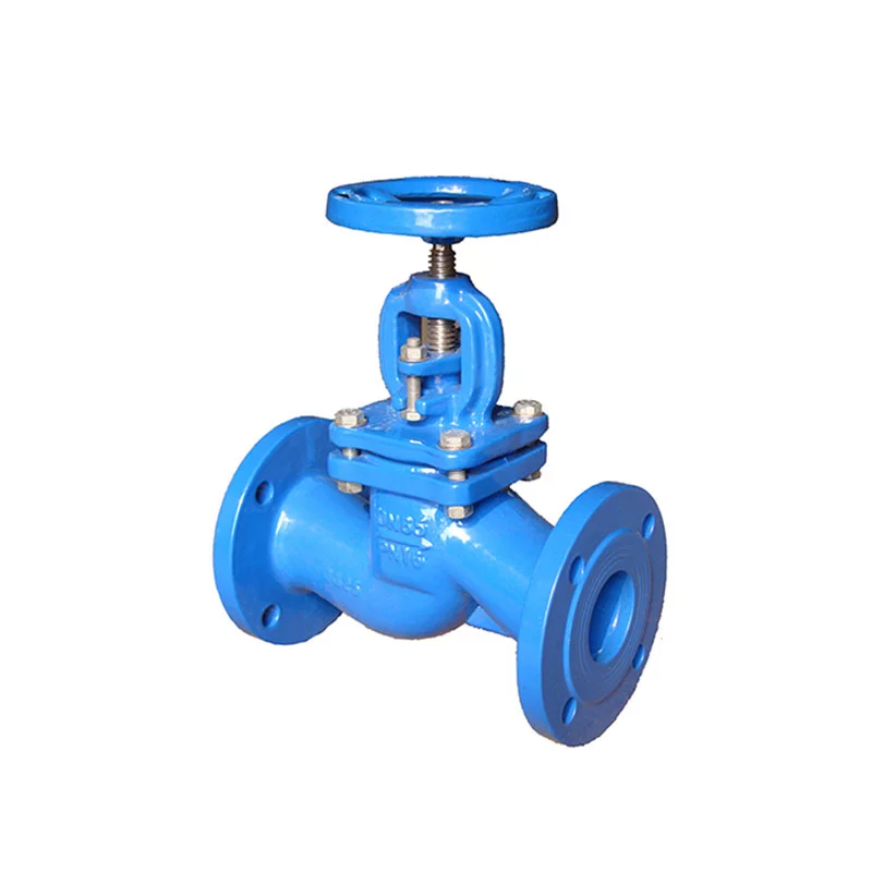 DIN3356 Cast Iron Globe Valve-473