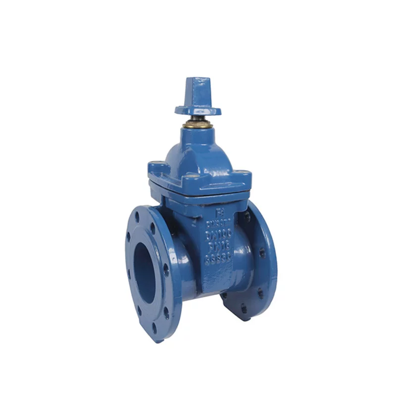 DIN3352 F4 F5 Resilient Seated Flanged Gate Valves-493