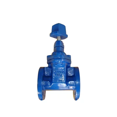 AWWA C509/C515 Cast iron Gate Valve