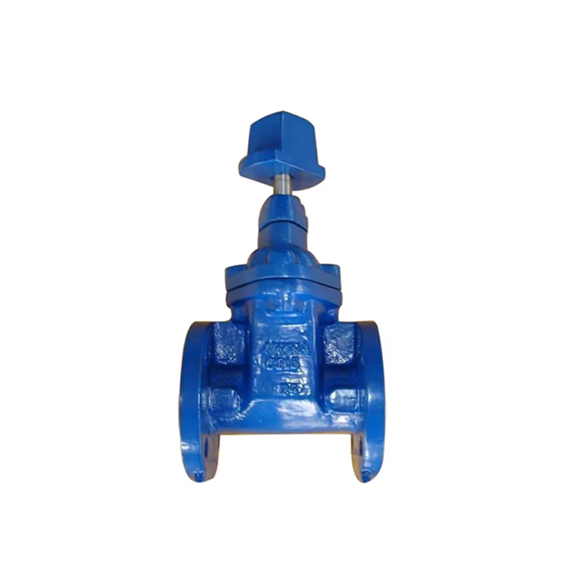 AWWA C509/C515 Cast iron Gate Valve-480