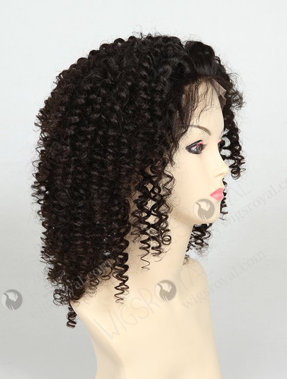 Curly Human Hair Wigs for Black Women WR-LW-001-833