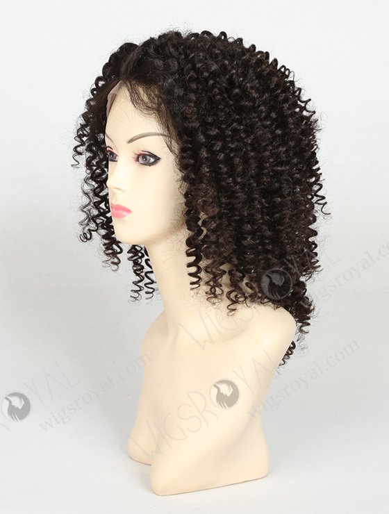Curly Human Hair Wigs for Black Women WR-LW-001-831