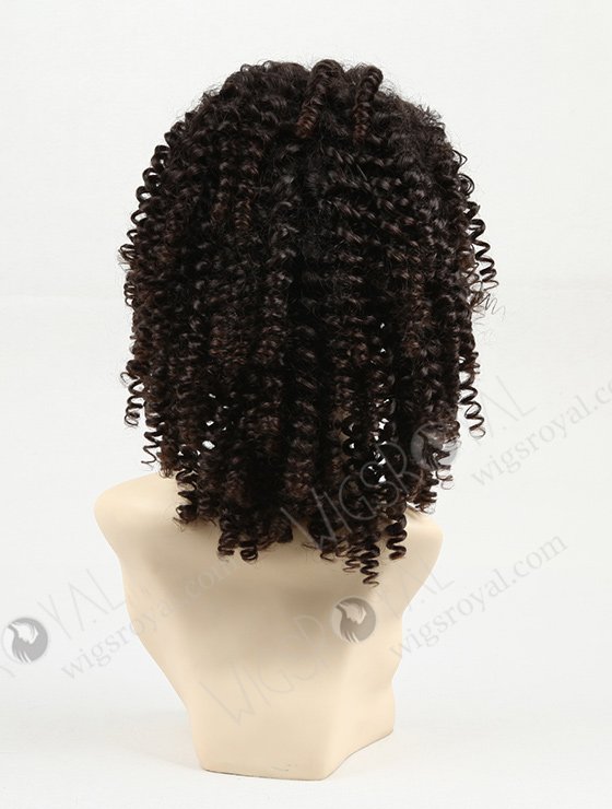 Curly Human Hair Wigs for Black Women WR-LW-003-874