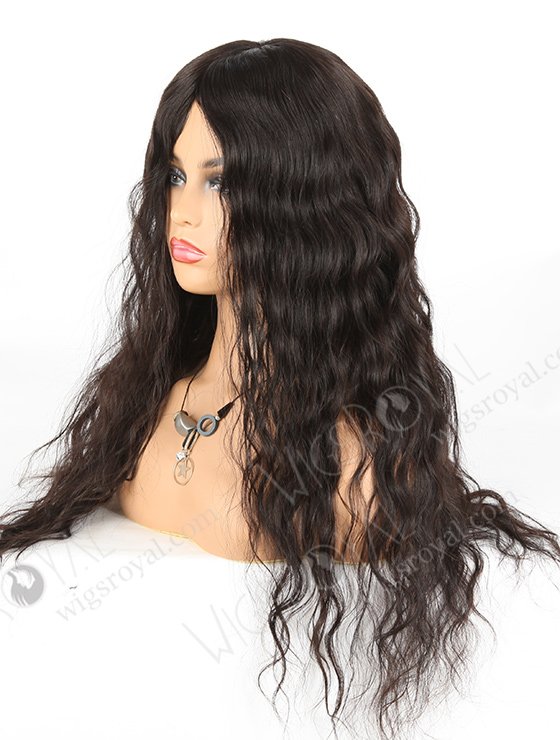 In Stock Malaysian Virgin Hair 22" Natural Straight Natural Color Silk Top Glueless Wig GL-03044-1431