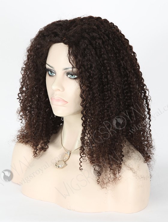 In Stock Brazilian Virgin Hair 18" Tightest Curl Natural Color Full Lace Glueless Wig GL-04050-2008