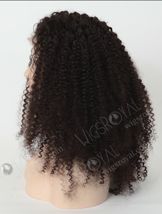 Jerry Curl Natural Hair Wigs for Black Women WR-LW-059-1947
