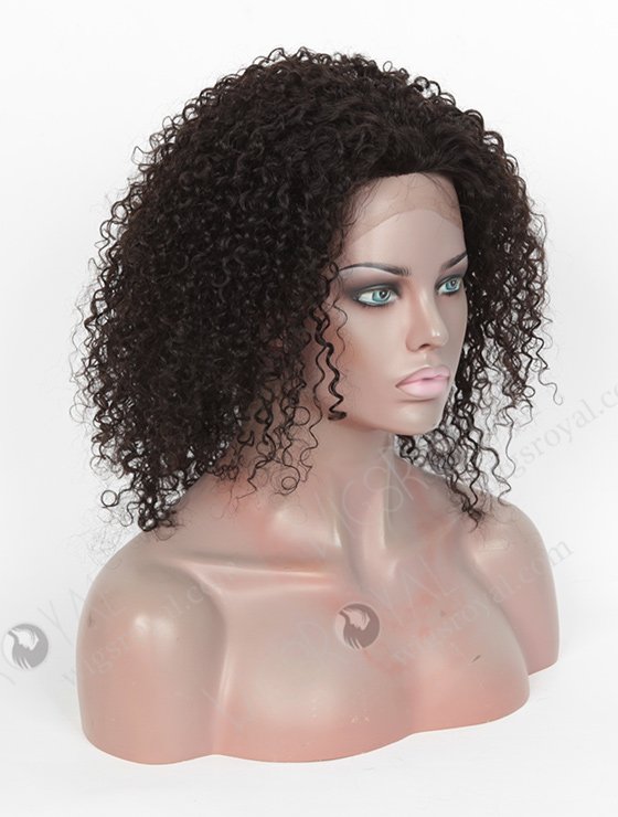 High Quality Raw Indian Hair Full Lace Wig WR-LW-090-3585