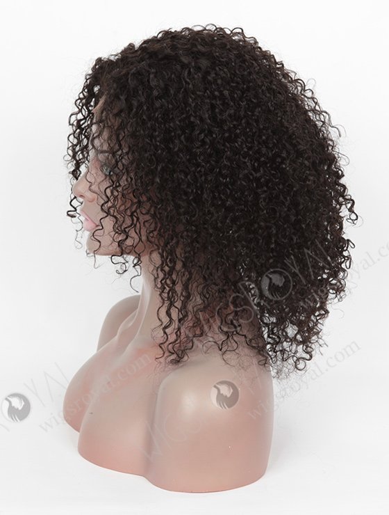 High Quality Raw Indian Hair Full Lace Wig WR-LW-090-3584