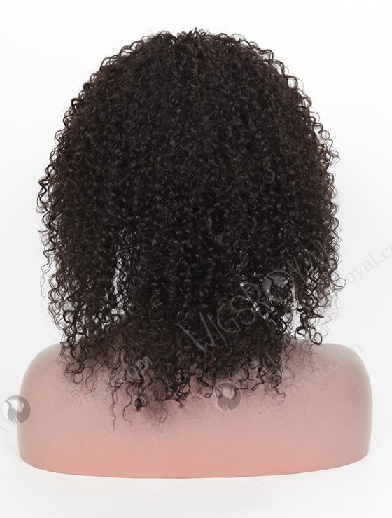 High Quality Raw Indian Hair Full Lace Wig WR-LW-090-3583