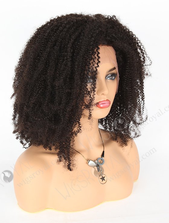 Beautiful Kinky Afro Curl Natural Color 20'' Brazilian Virgin Hair Wigs WR-LW-088-3569