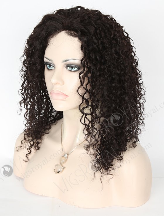 In Stock Chinese Virgin Hair 16" Tight Curl 10mm Natural Color Full Lace Glueless Wig GL-07016-6606
