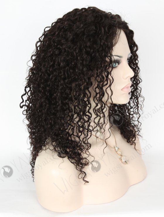 In Stock Chinese Virgin Hair 16" Tight Curl 10mm Natural Color Full Lace Glueless Wig GL-07016-6612