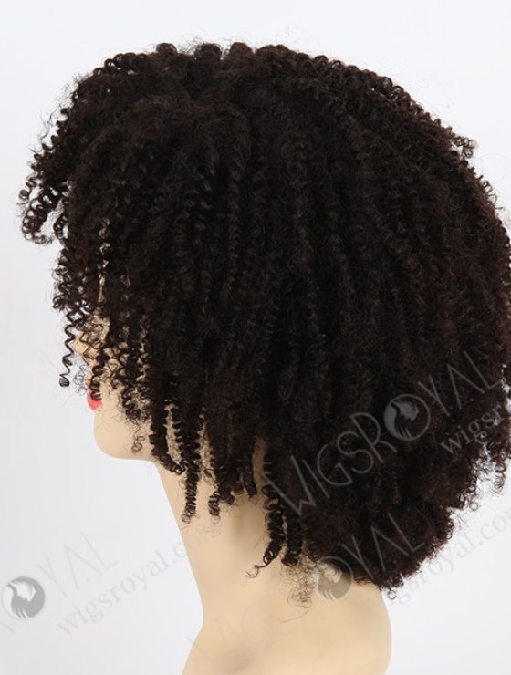 Afro Curl African American Wigs WR-GL-029-7807
