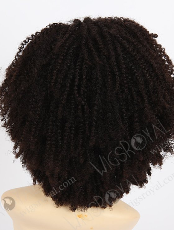 Afro Curl African American Wigs WR-GL-029-7808
