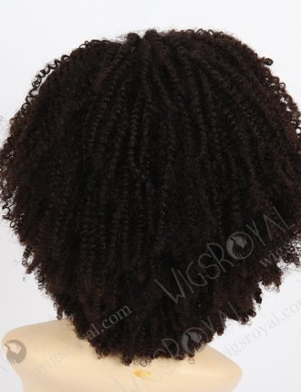 Afro Curl African American Wigs WR-GL-029
