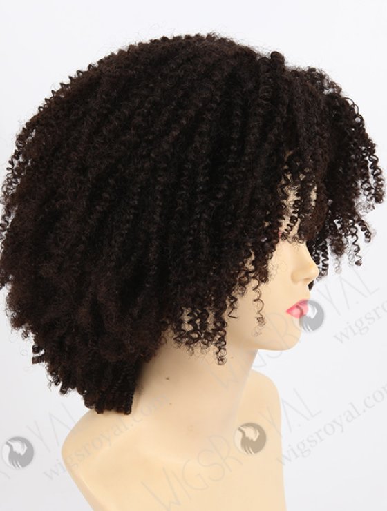 Afro Curl African American Wigs WR-GL-029-7809