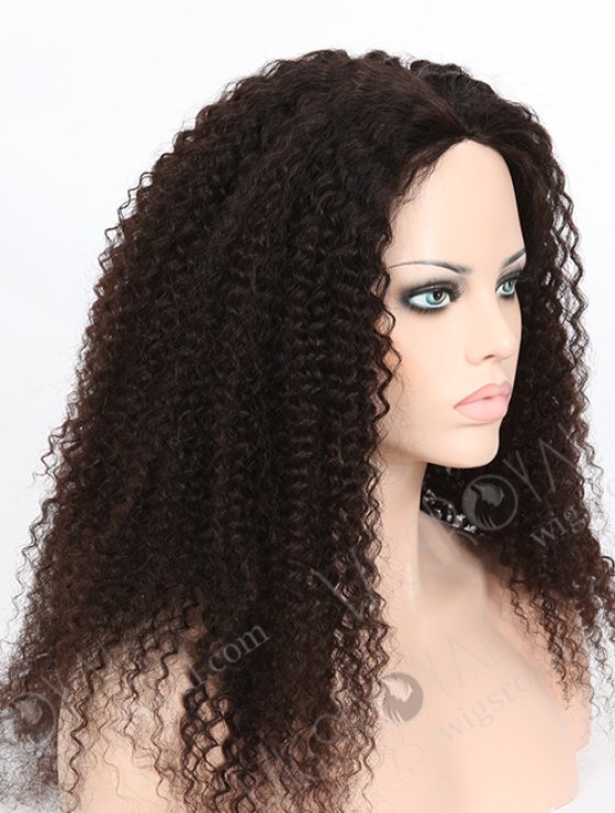 Kinky Curly Wig for Black Women WR-GL-030-7814