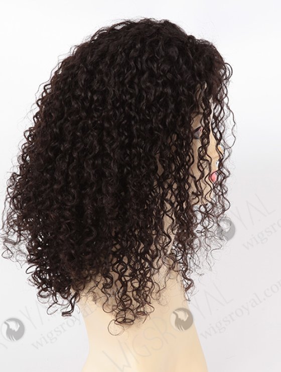 High Quality 100% Chinese Virgin hair Glueless Wig WR-GL-039-8168