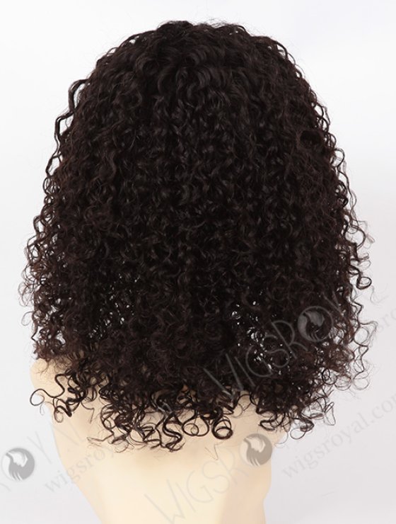 High Quality 100% Chinese Virgin hair Glueless Wig WR-GL-039-8167