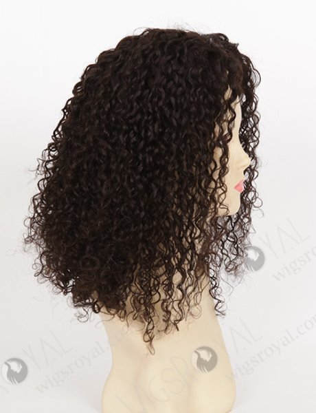 Natural Color Curly Brazilian Virgin Human Hair Glueless Wigs WR-GL-049