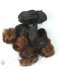 Best Quality Egg Roll Curl 12'' Chinese Virgin Human Hair Wefts WR-MW-103