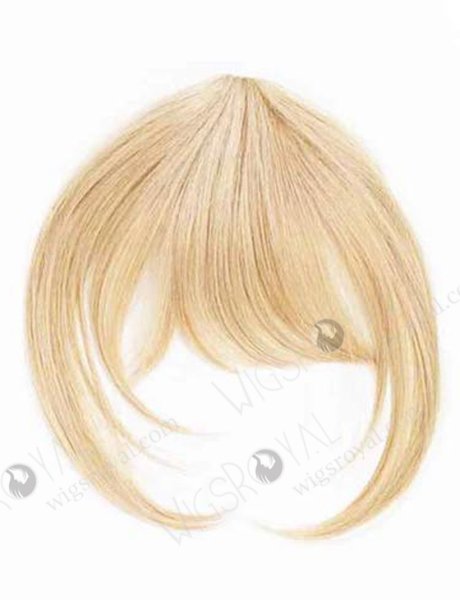 Hot Selling Top Quality Wholesale Price Real Human Hair Bangs WR-FR-003