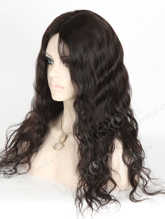 In Stock Brazilian Virgin Hair 20" Natural Wave Natural Color Silk Top Glueless Wig GL-04036-17924