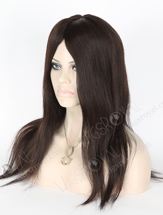 Malaysian Human Hair Silky Straight Silk Top Glueless Wigs For Beginners GL-03024-18117