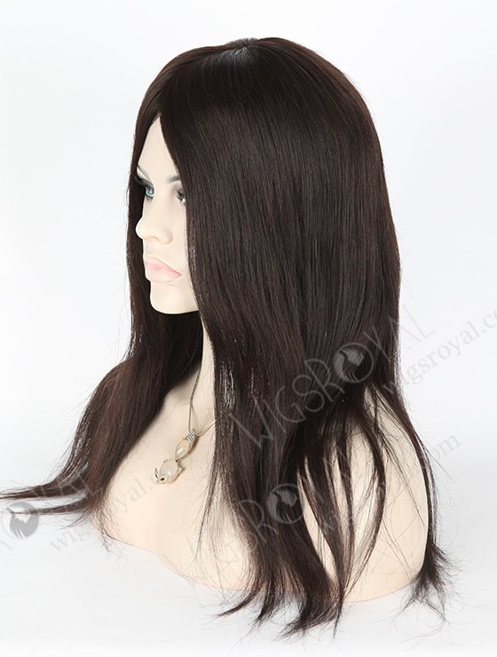 Malaysian Human Hair Silky Straight Silk Top Glueless Wigs For Beginners GL-03024-18120