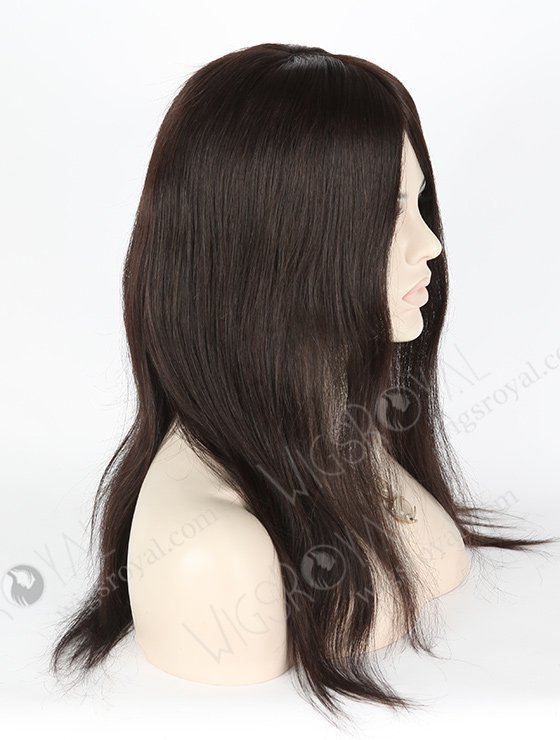 Malaysian Human Hair Silky Straight Silk Top Glueless Wigs For Beginners GL-03024-18119
