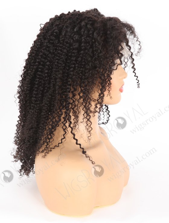 Affordable Kinky Curl Lace Front Wig For Black Women SLF-01294-24593