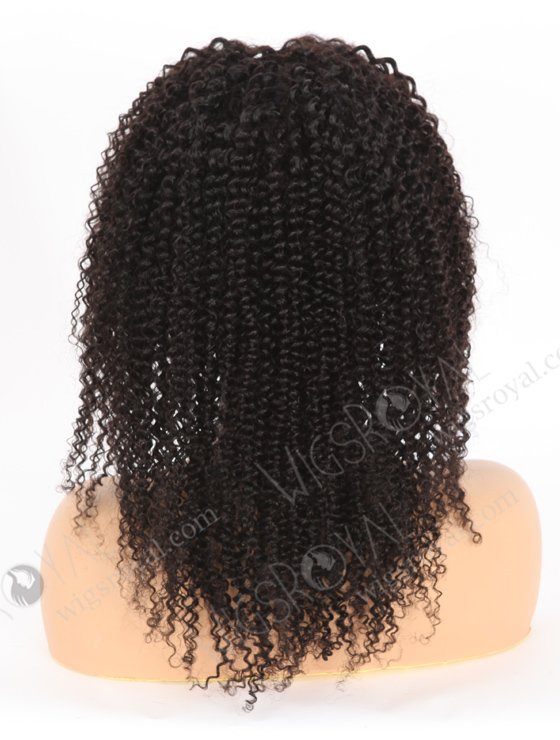 Affordable Kinky Curl Lace Front Wig For Black Women SLF-01294-24592