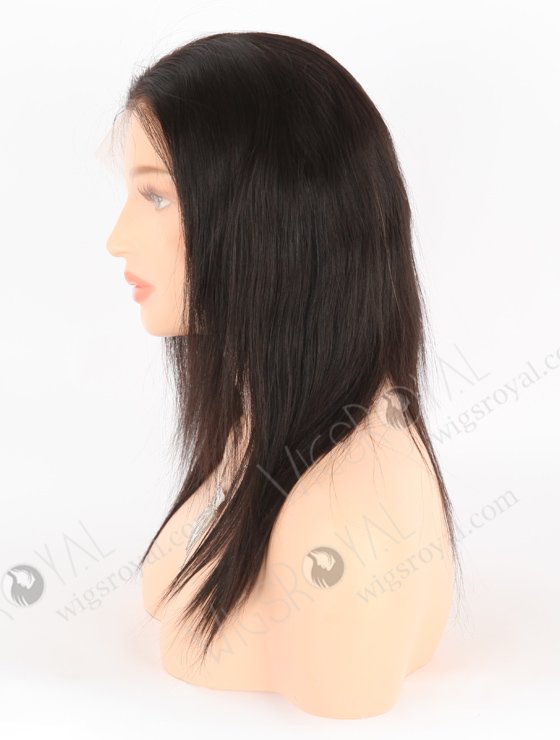 In Stock Indian Remy Hair 12" Straight Natural Color HD Lace Front Wig LLF-01015-25692