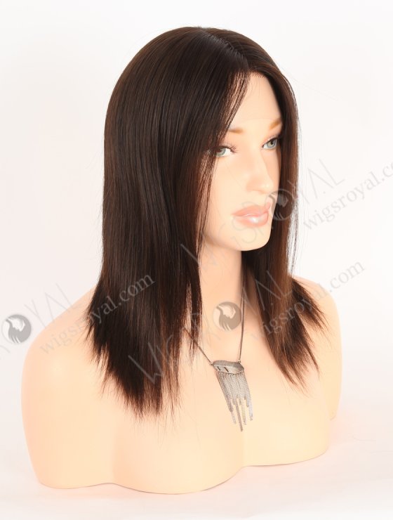 In Stock European Virgin Hair 12" Natural Straight Natural Brown Color Lace Front Wig RLF-08046-28212