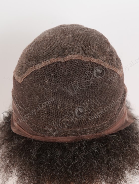 Full Lace Knotless Wig Salt and Pepper Afro Kinky Curl Grey Color Full Lace Wig WR-LW-144-32460