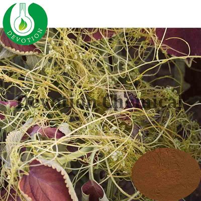 Dodder seed P.E./Semen Cuscutae Extract-398