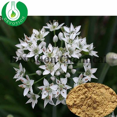 Leek Seed Extract-399