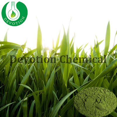 Barley Grass Powder-372