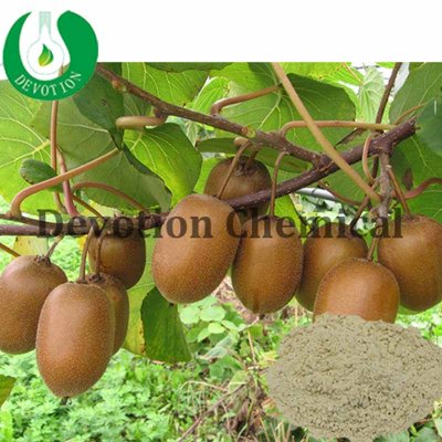 Kiwi Fruit Extract-375