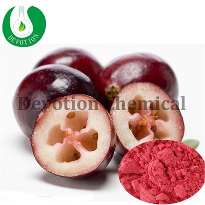 Cranberry Powder-376