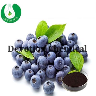 Blueberry extract powder- Anthocyanidin