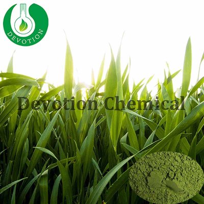 Barley Grass Powder-409