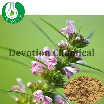 Motherwort Extract / Leonurus Cardiaca Extract-410